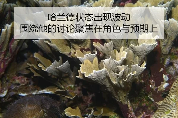 ha-lan-de-zhuang-tai-chu-xian-bo-dong-wei-rao-ta-de-tao-lun-ju-jiao-zai-jue-se-yu-yu-qi-shang-2-213.jpg